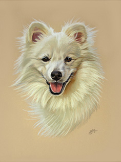 Hundeportrait in Pastell
