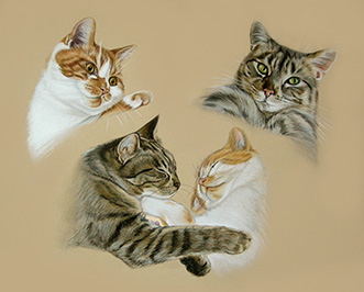 Mehrfachportrait mit vier Katzenbildern