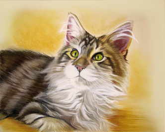 Katzenportrait Pastell