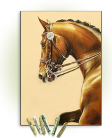 Titelbild Pferdportraits