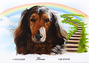 Bild Regenbogenbrücke Hund