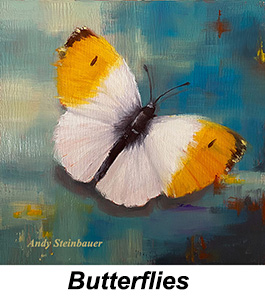 Andy Steinbauer, Werkserie Butterflies