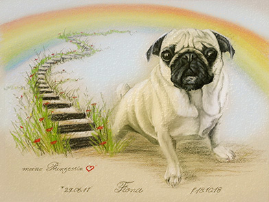 Regenbogenbrücke Hund